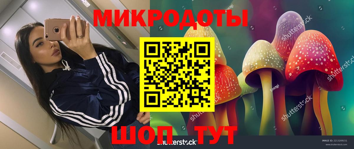Галлюциногенные грибы Psilocybe Кызыл