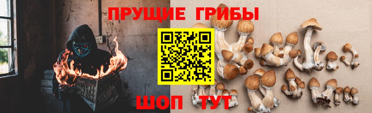 Кызыл  Галлюциногенные грибы Magic Shrooms  Вход с VPN 